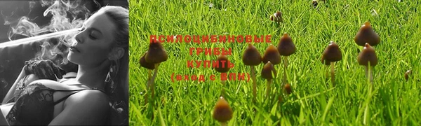 индика Алзамай
