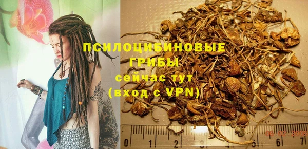 эйфоретик Абаза