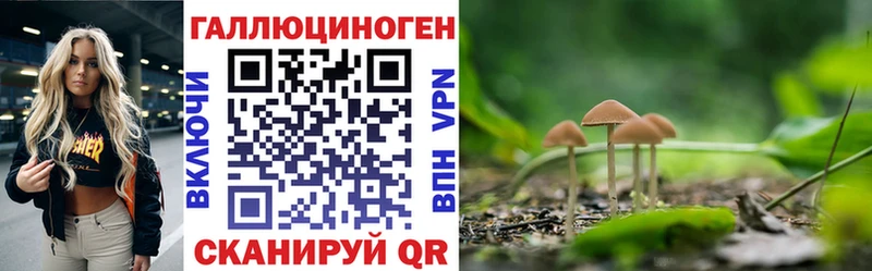 нарко площадка клад  Сысерть  Псилоцибиновые грибы GOLDEN TEACHER 