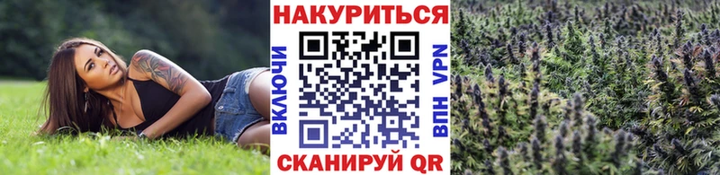 где можно купить наркотик  дарк нет официальный сайт  Конопля SATIVA & INDICA  Сысерть 